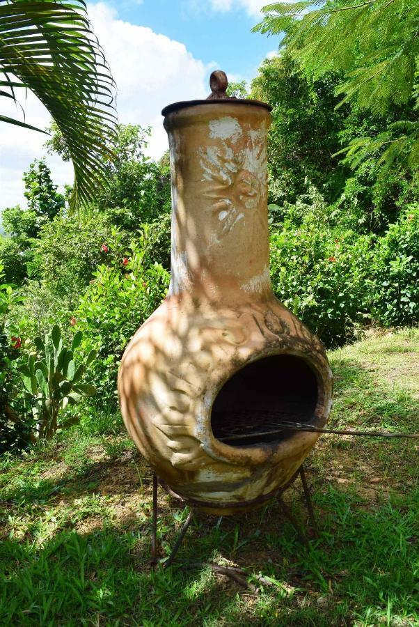شقة لا ترينيت  في Ecolokay المظهر الخارجي الصورة